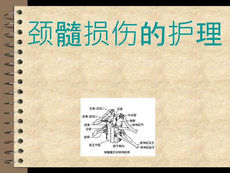 颈髓损伤的护理PPT课件_第1页