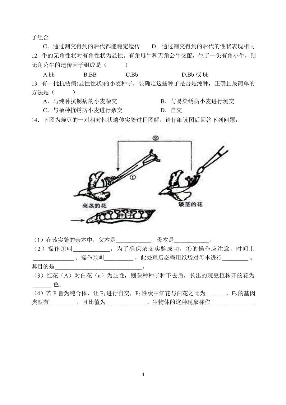 孟德尔的豌豆杂交实验一导学案.doc_第4页