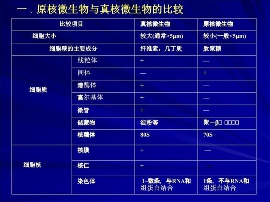 最新微生物与生活PPT课件_第5页