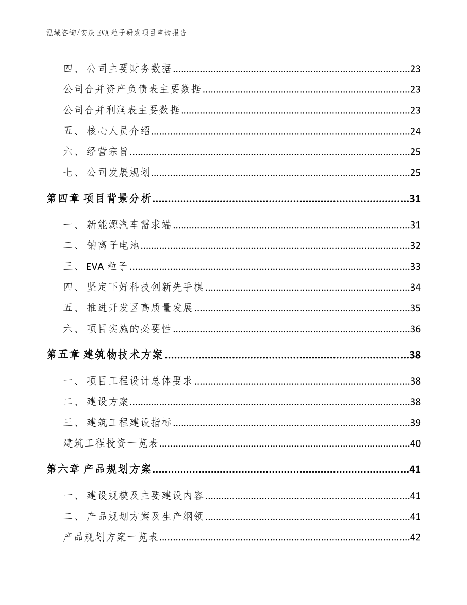 安庆EVA粒子研发项目申请报告【模板参考】_第3页