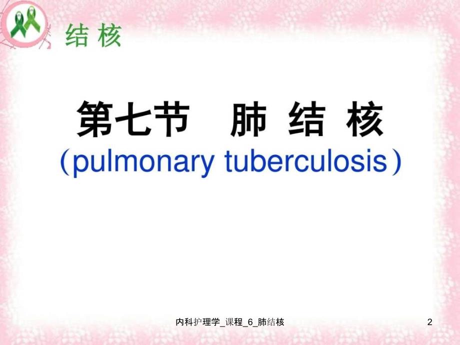 内科护理学课程6肺结核课件_第2页