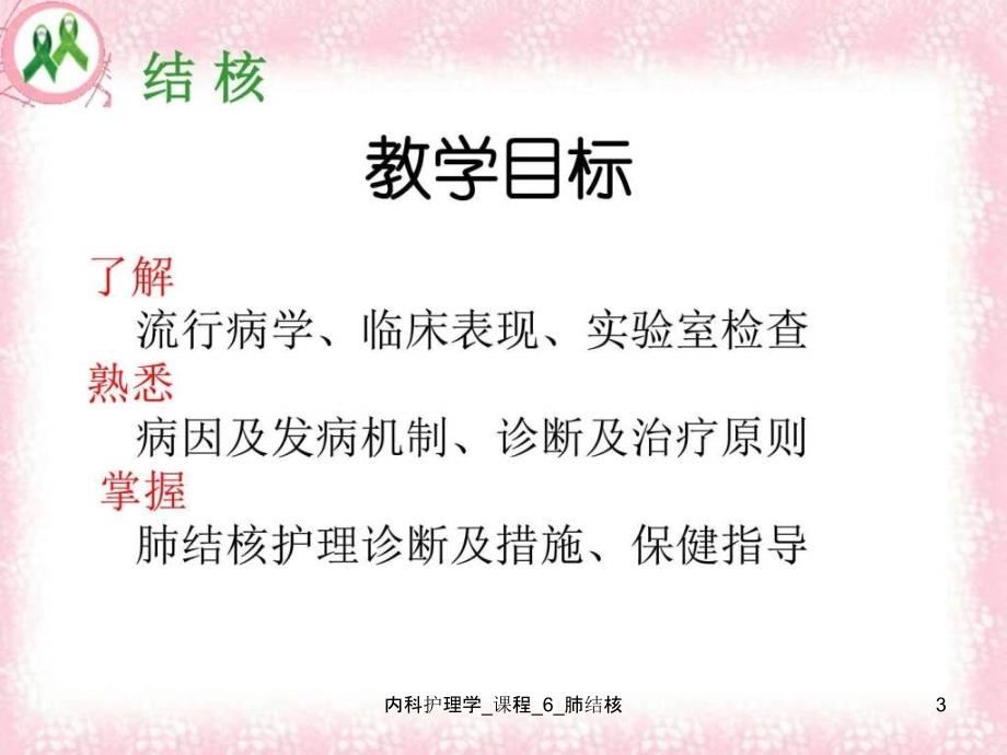 内科护理学课程6肺结核课件_第3页