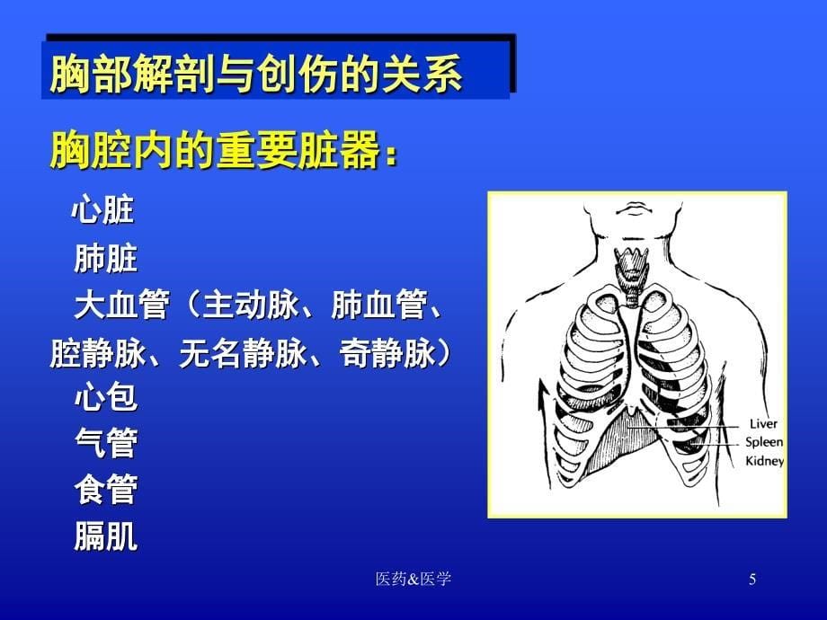 胸外伤（医药相关）_第5页