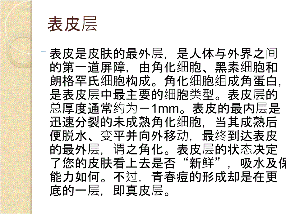 皮肤的结构与青春痘的关系_第3页