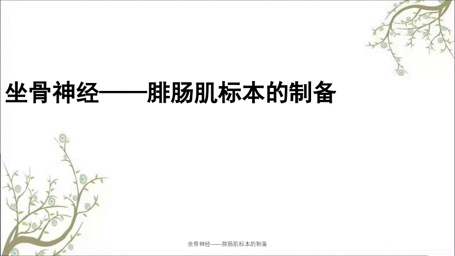 坐骨神经腓肠肌标本的制备_第1页