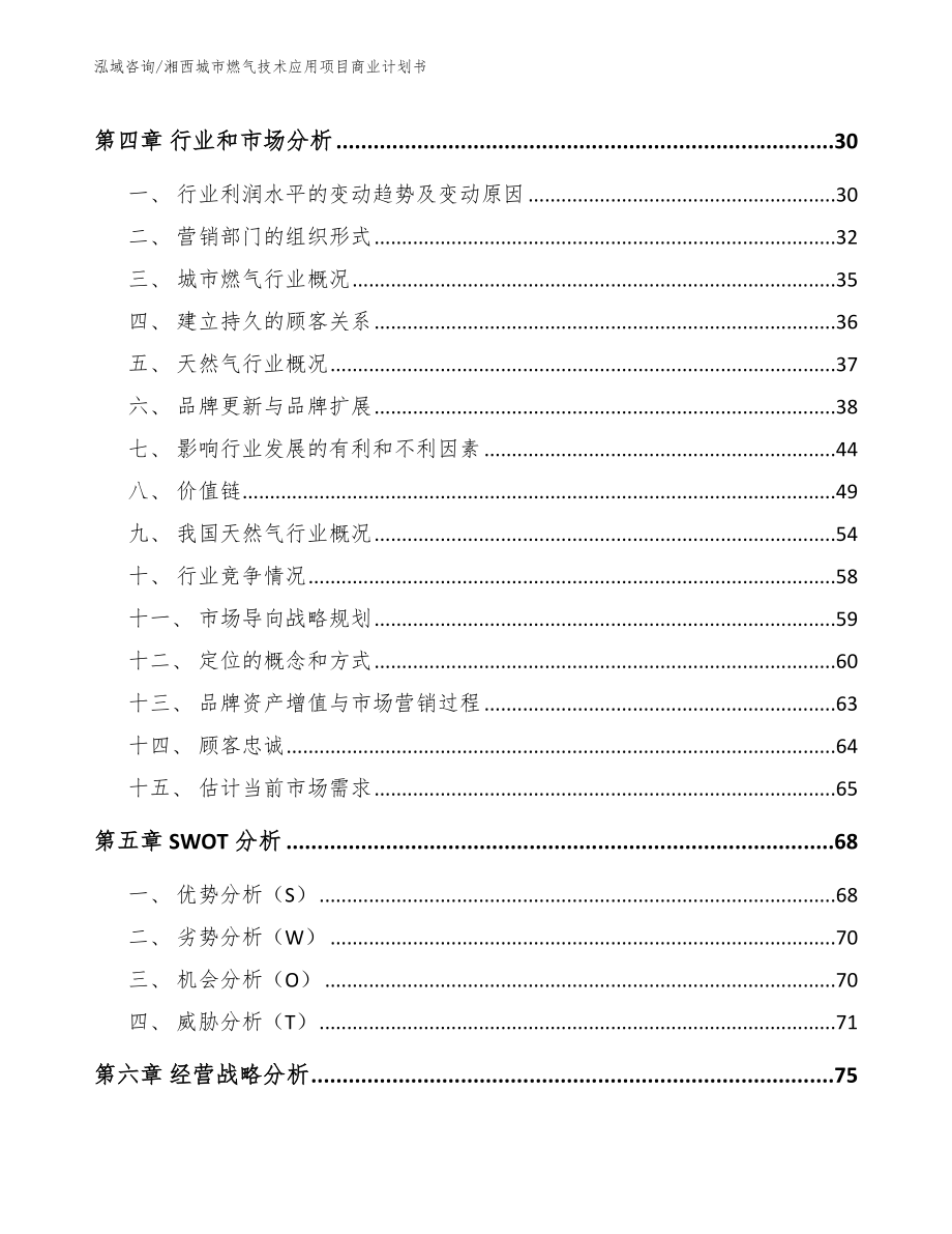 湘西城市燃气技术应用项目商业计划书_第3页