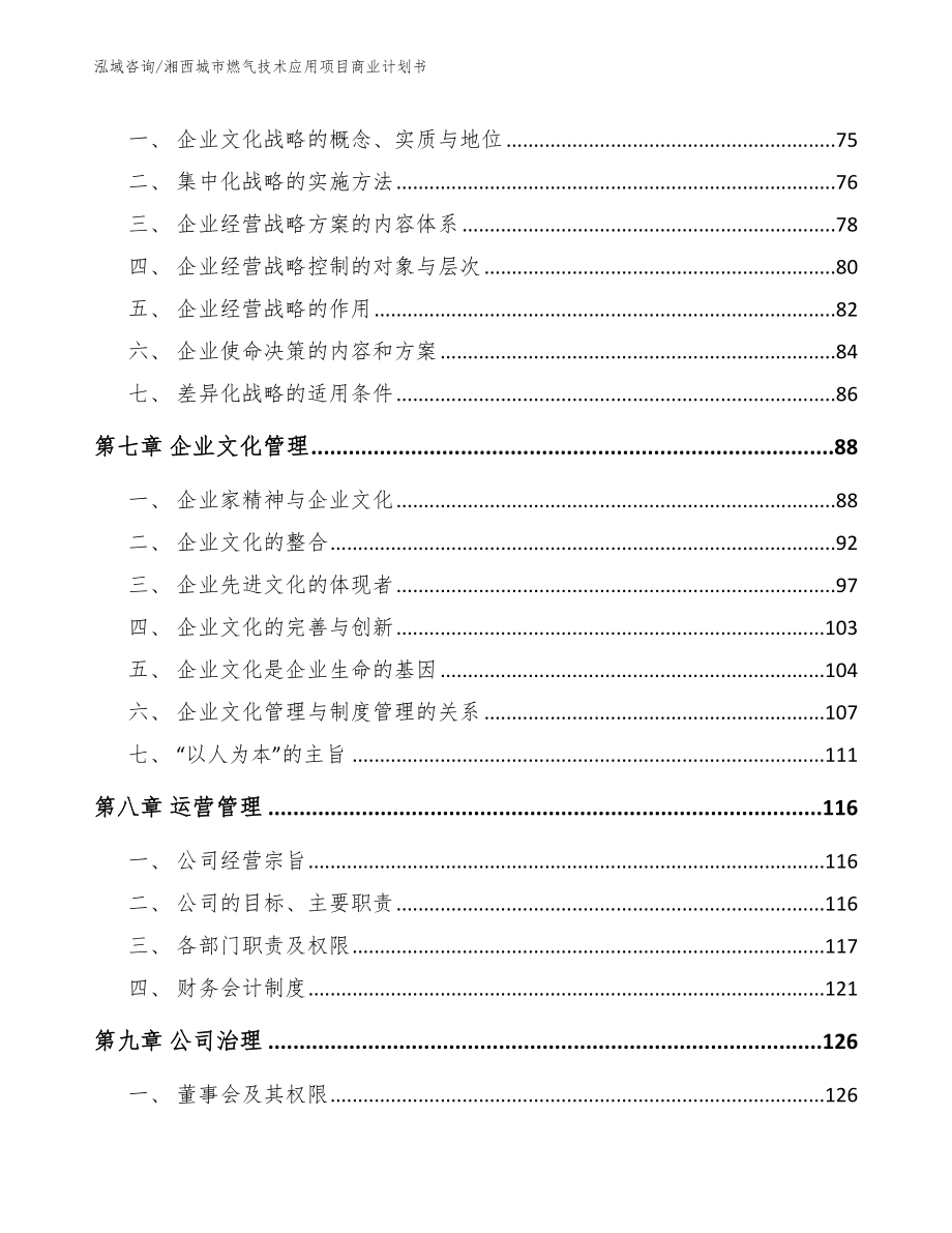 湘西城市燃气技术应用项目商业计划书_第4页