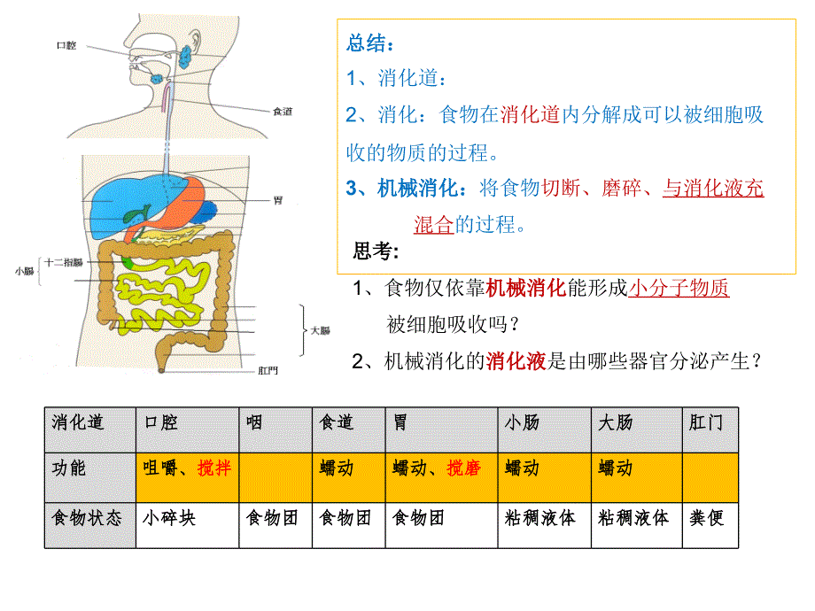 消化和吸收PPT公开课_第4页