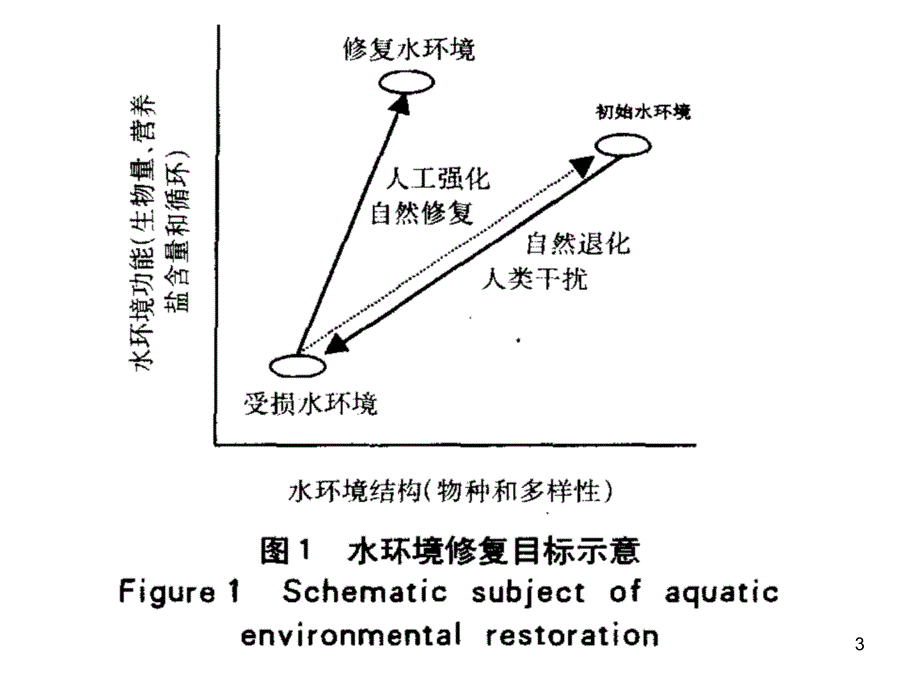 水体修复技术PPT课件_第3页