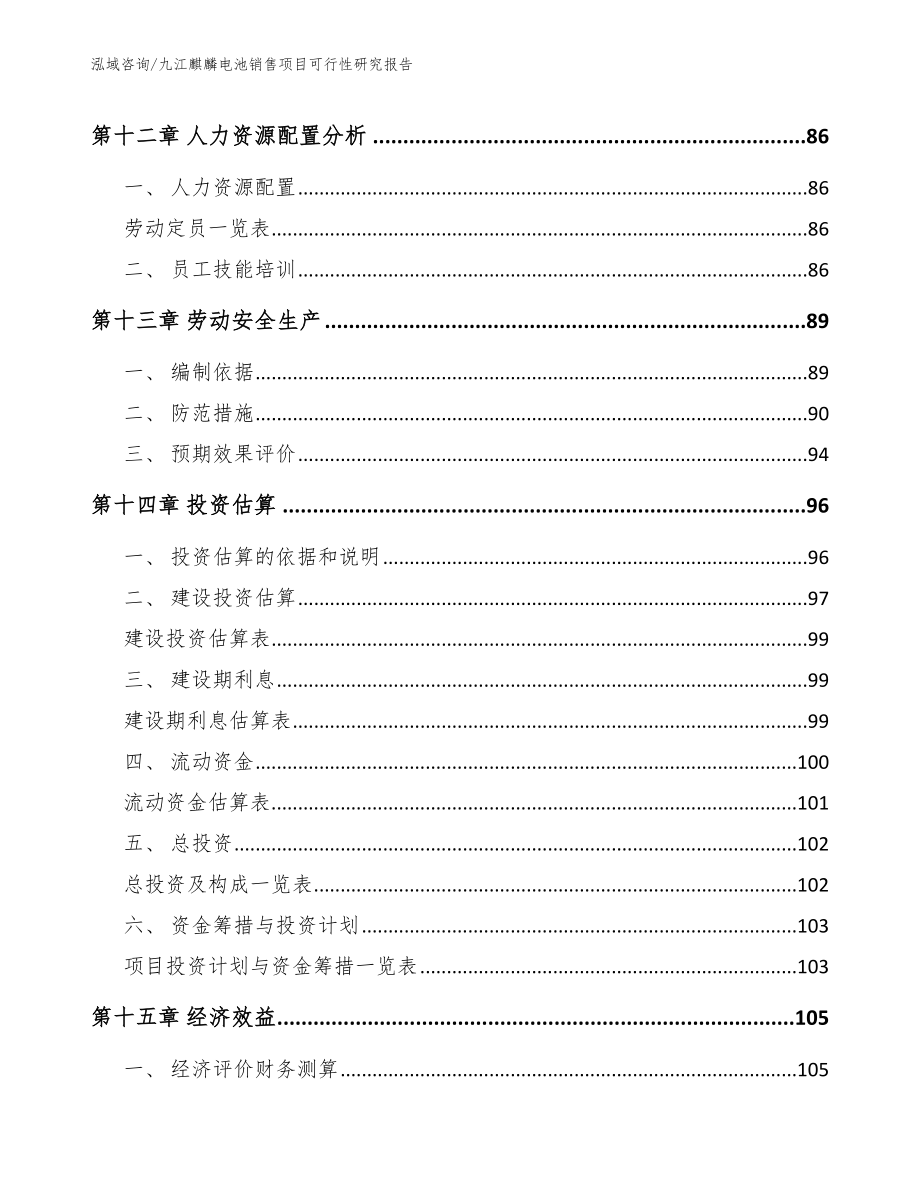 九江麒麟电池销售项目可行性研究报告模板_第4页