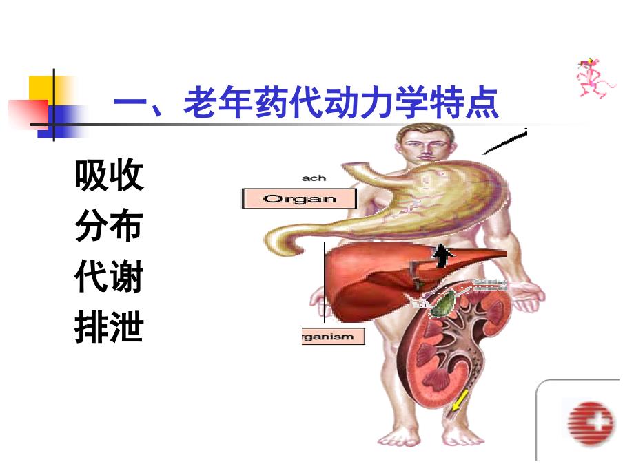 老年人安全用药的护理_第4页