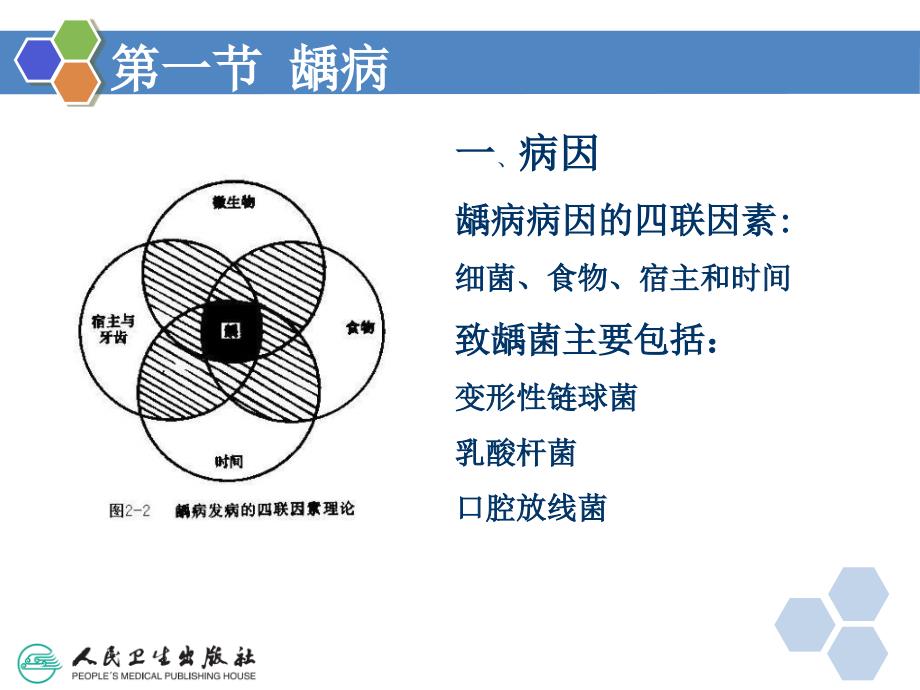 牙体牙周组织疾病课件_第4页