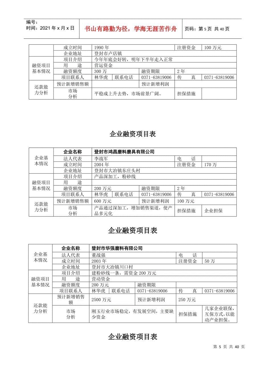 企业融资项目表_第5页