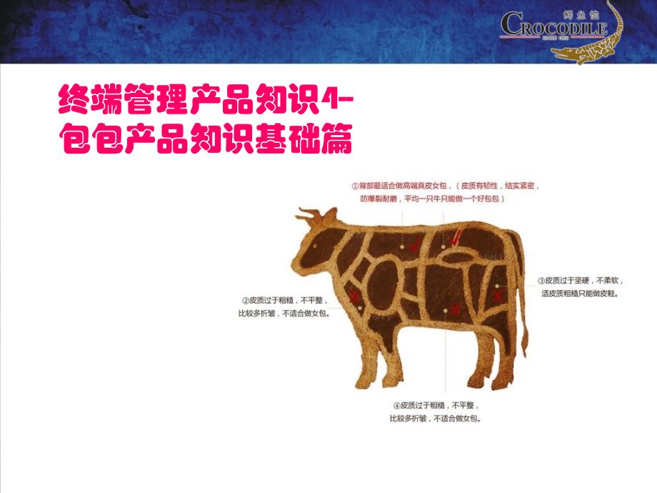 终端管理产品知识4皮具面料基础知识课件_第1页