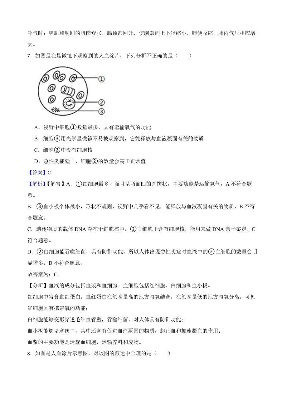 教师专用备考2022年中考生物实验专项复习 观察人血的永久涂片.docx_第5页