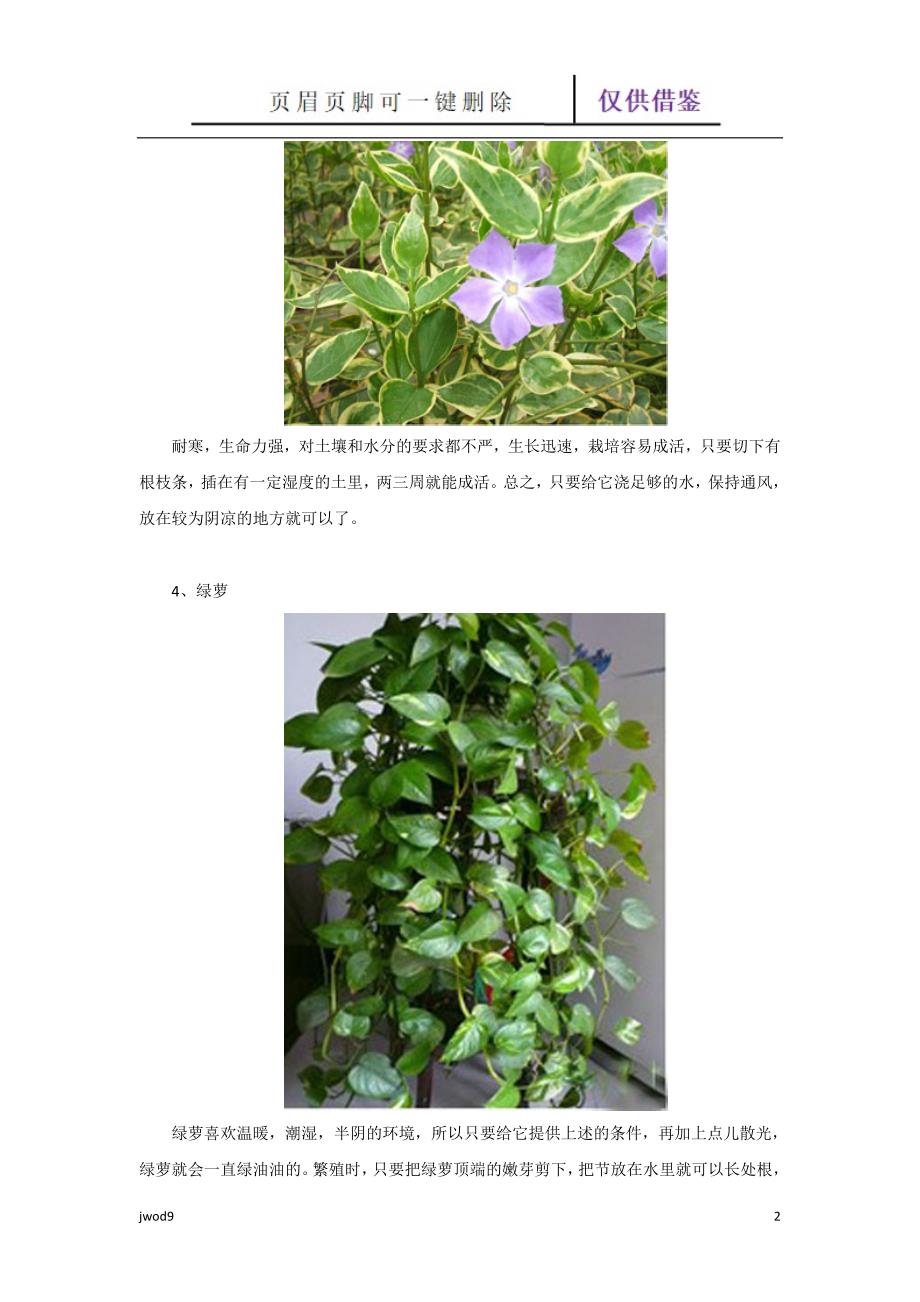 最容易栽养的10种室内植物【教学参考】_第2页