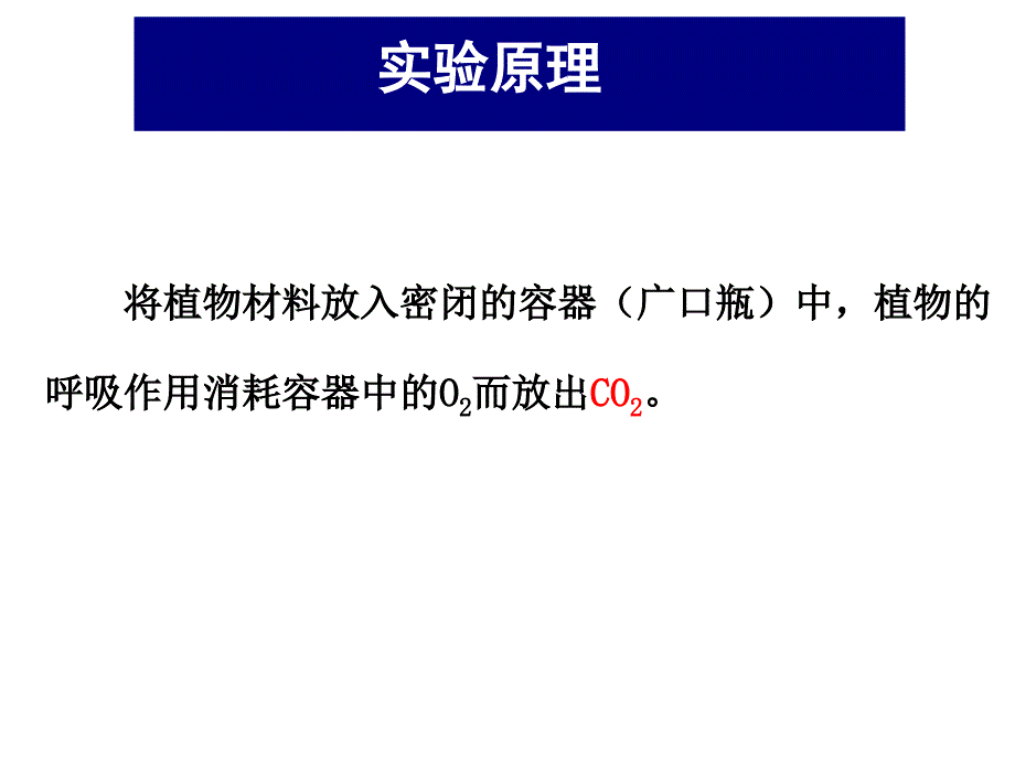 实验八呼吸速率的测定小篮子法_第2页