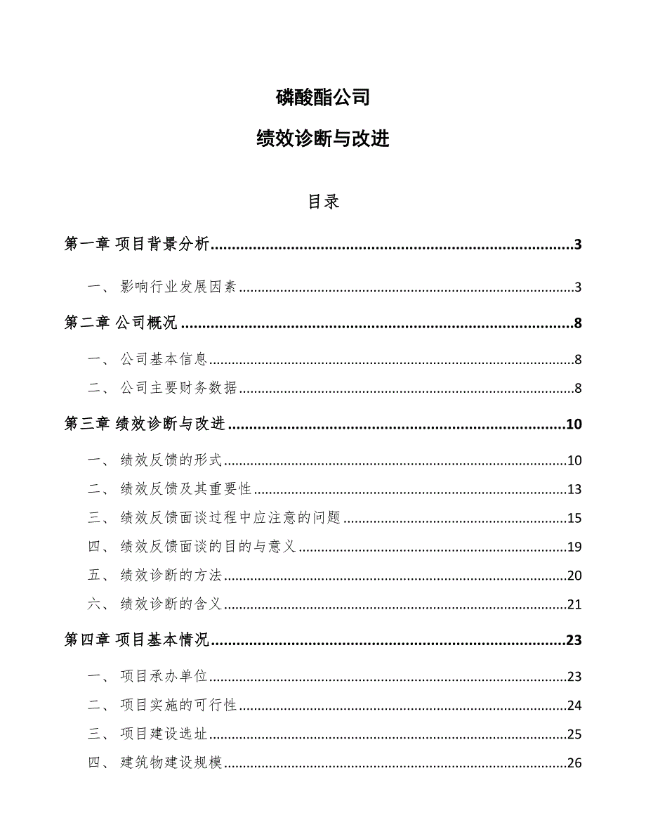 磷酸酯公司绩效诊断与改进（范文）_第1页