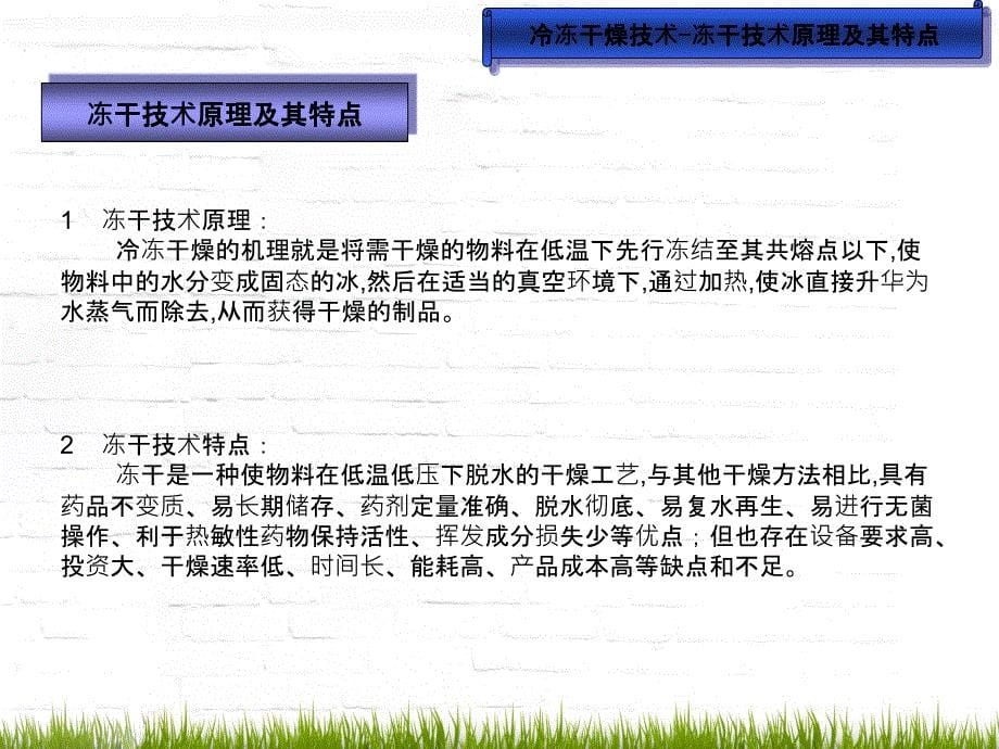 冷冻干燥技术设备培训讲座剖析冻干机维护保养培训教材_第5页