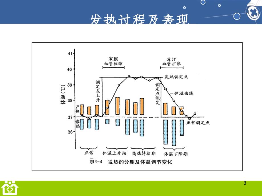 生命体征测量PPT精选文档_第3页