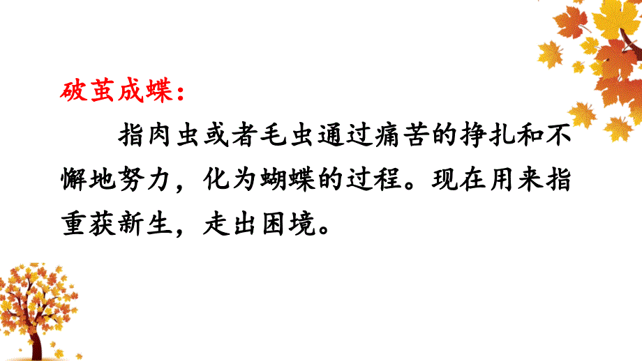 《小毛虫》优秀课件_第3页