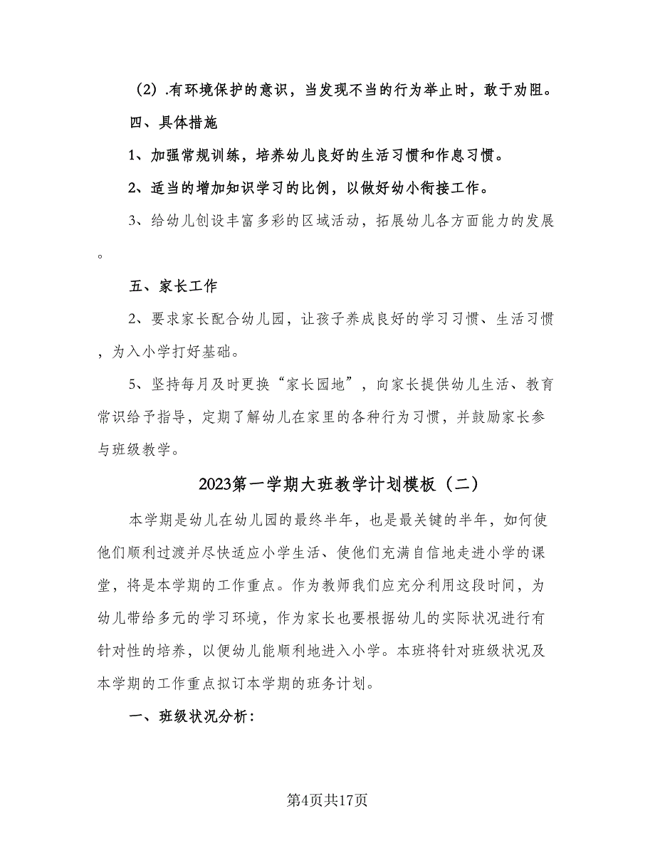 2023第一学期大班教学计划模板（四篇）.doc_第4页