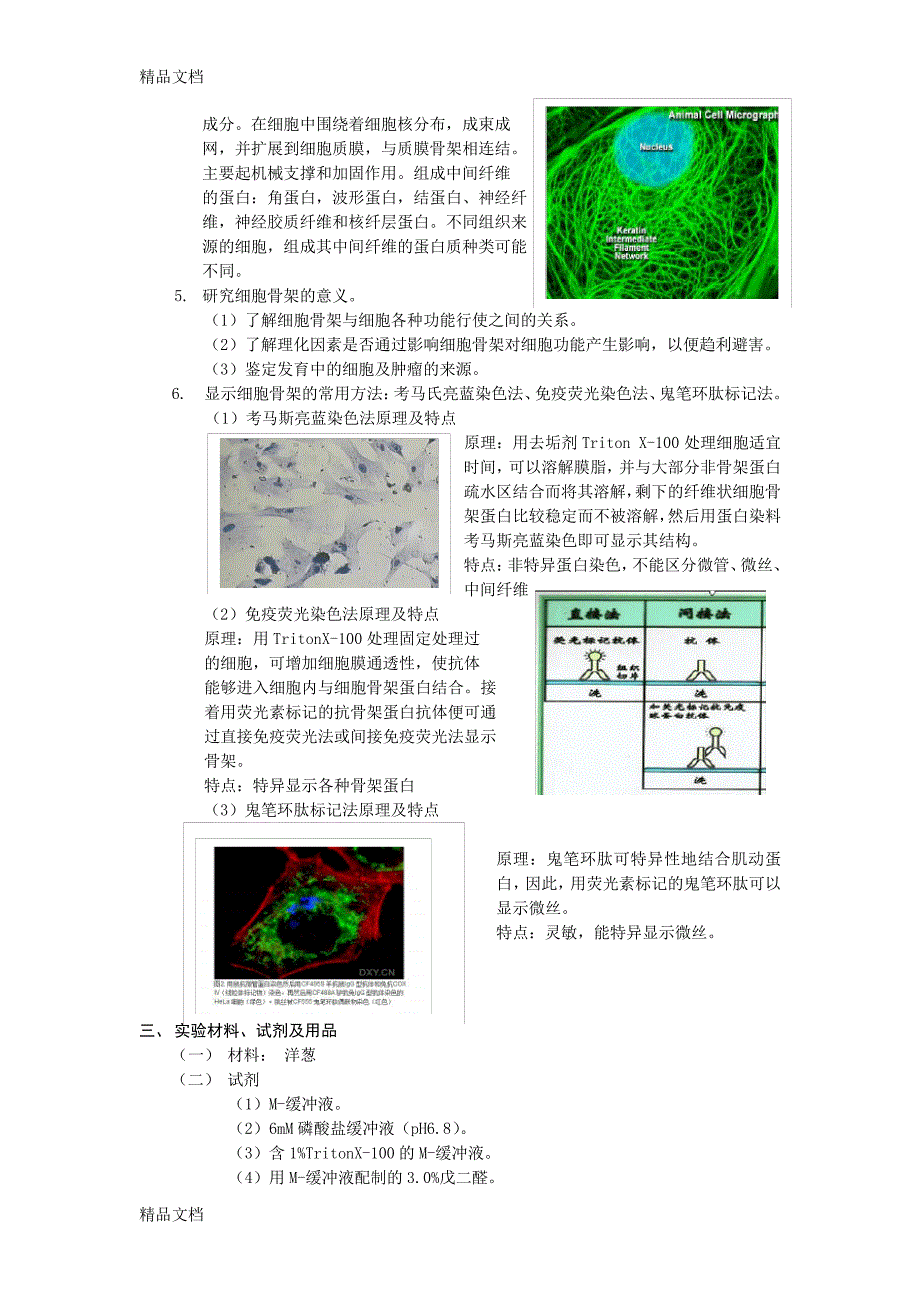 实验4细胞骨架的显示及观察学习资料11913_第2页