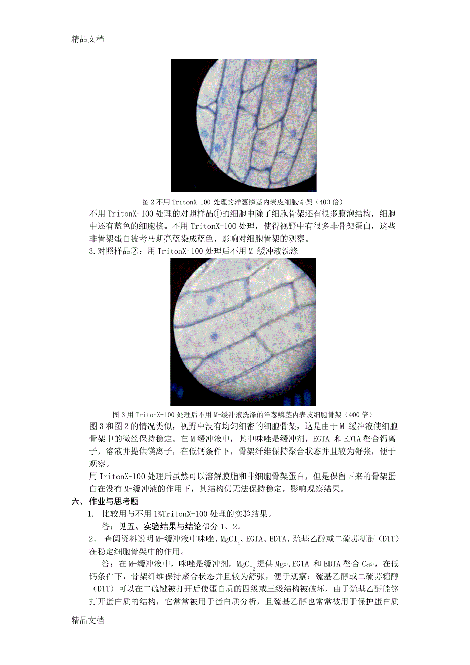 实验4细胞骨架的显示及观察学习资料11913_第4页