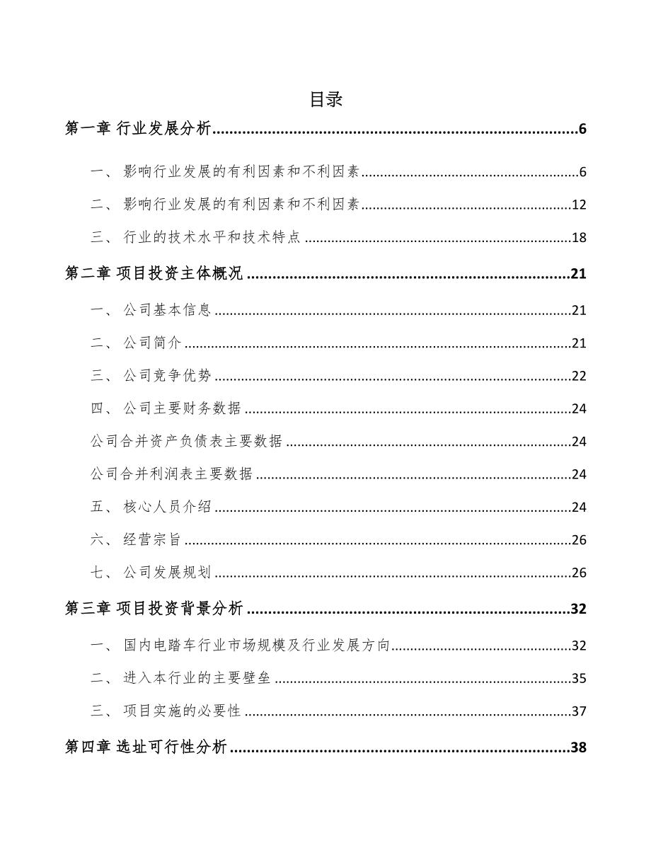 南昌电踏车电机项目可行性研究报告(DOC 87页)_第1页