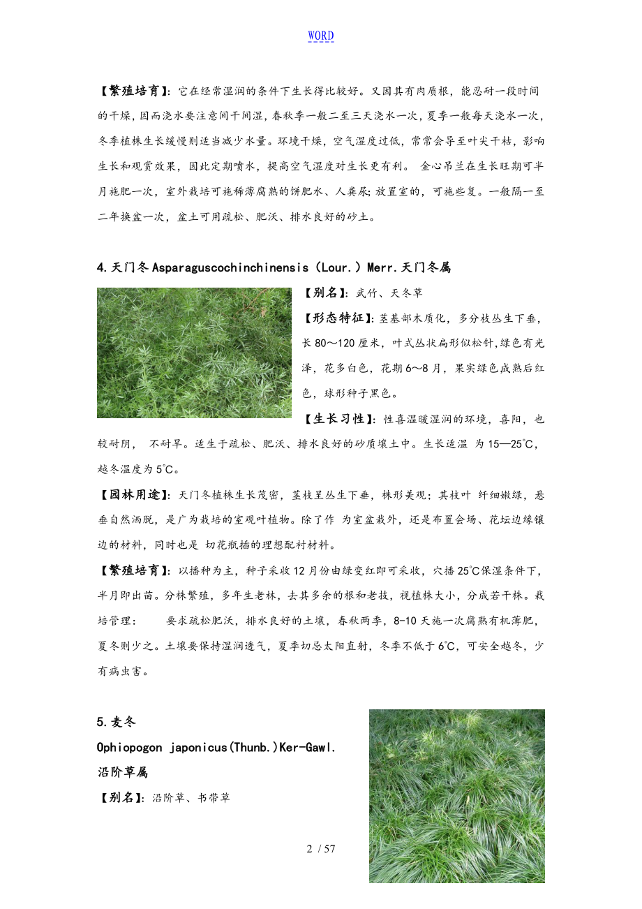 重庆地区常用植物_第2页