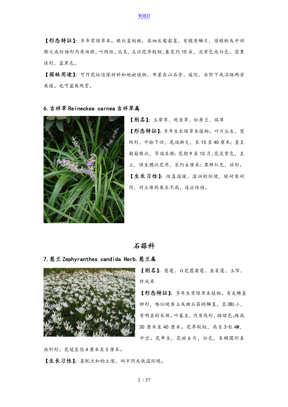 重庆地区常用植物_第3页