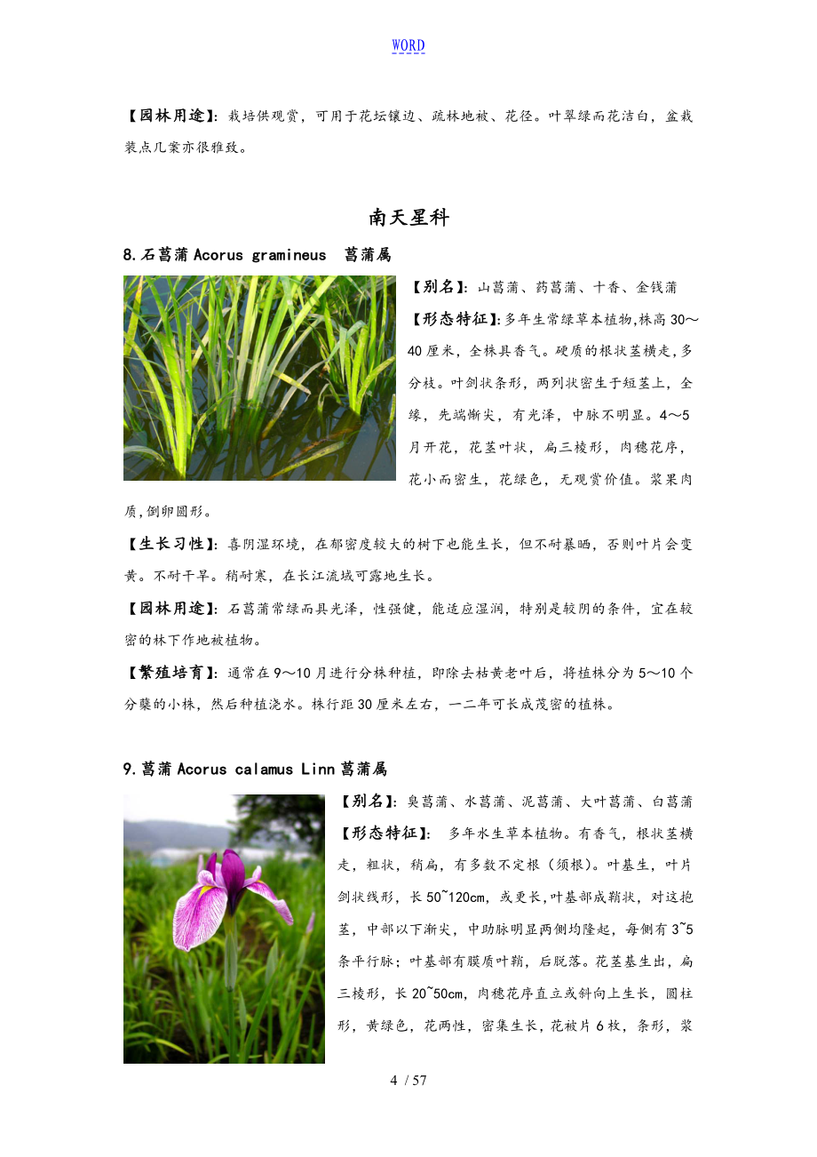重庆地区常用植物_第4页