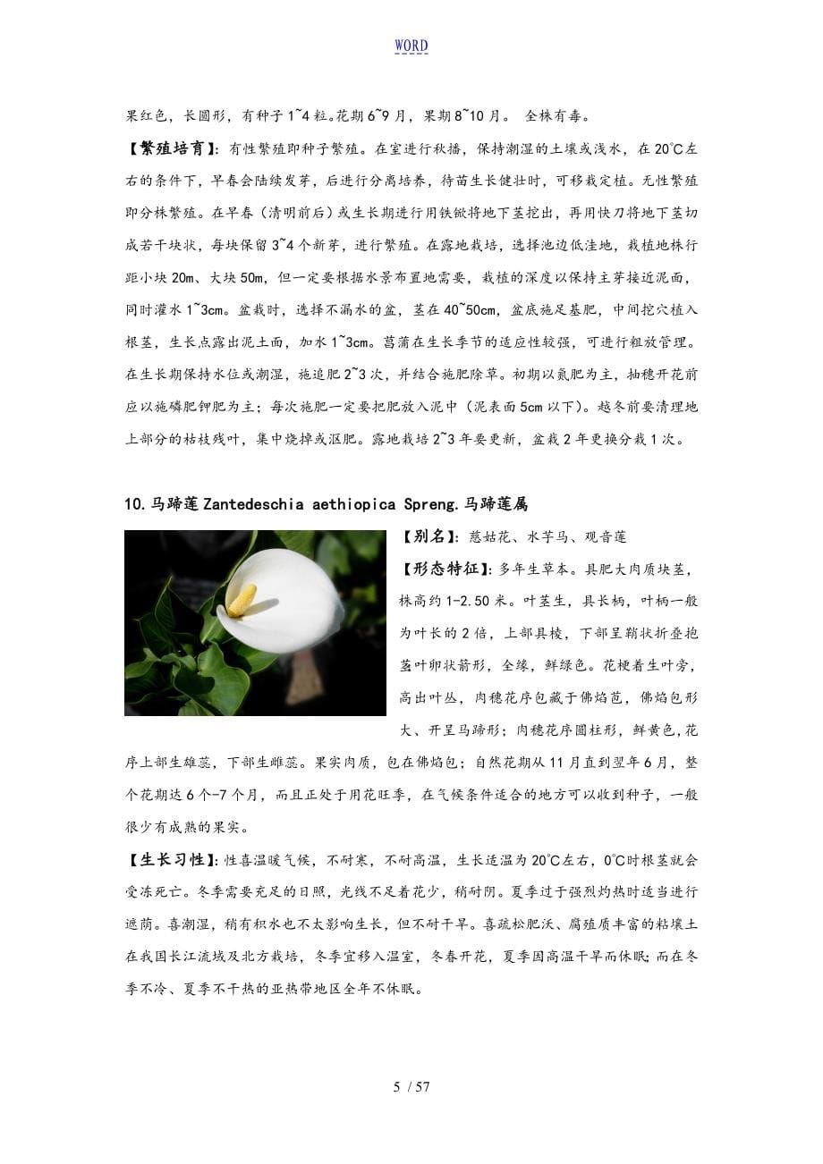 重庆地区常用植物_第5页