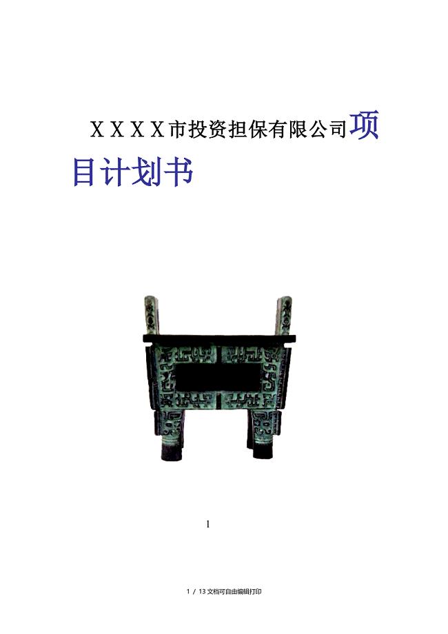 投资担保有限公司项目计划书