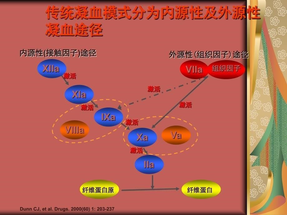 病理生理凝血与抗凝血 ppt课件_第5页