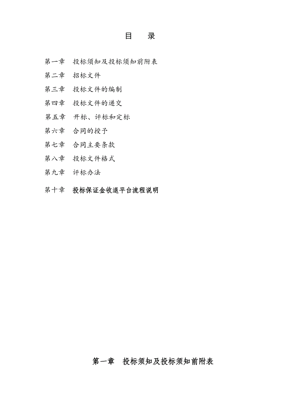 新建道路及配套工程招标文件.doc_第2页