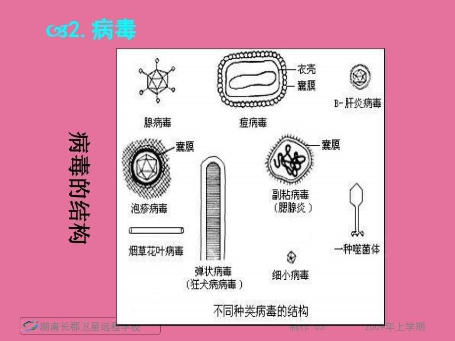 2.1高二生物微生物的实验室培养ppt课件_第5页