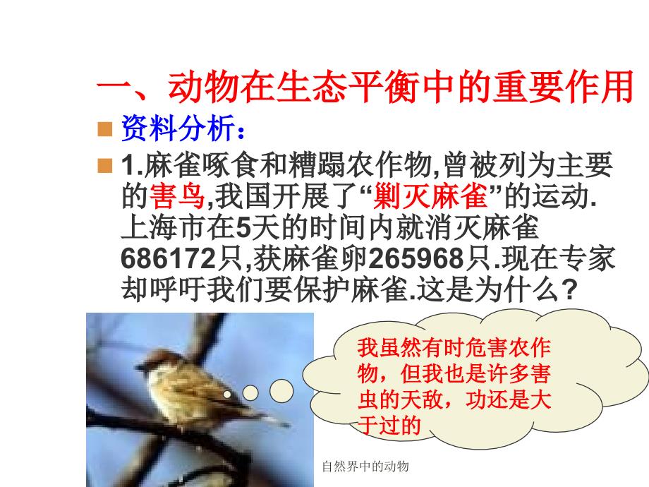 自然界中的动物课件_第4页