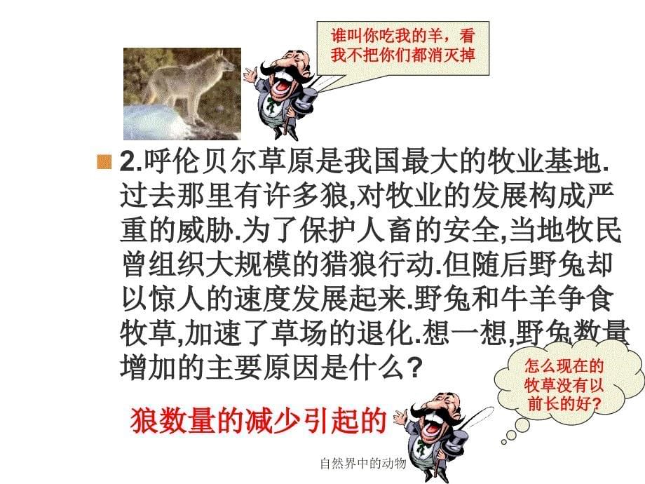 自然界中的动物课件_第5页