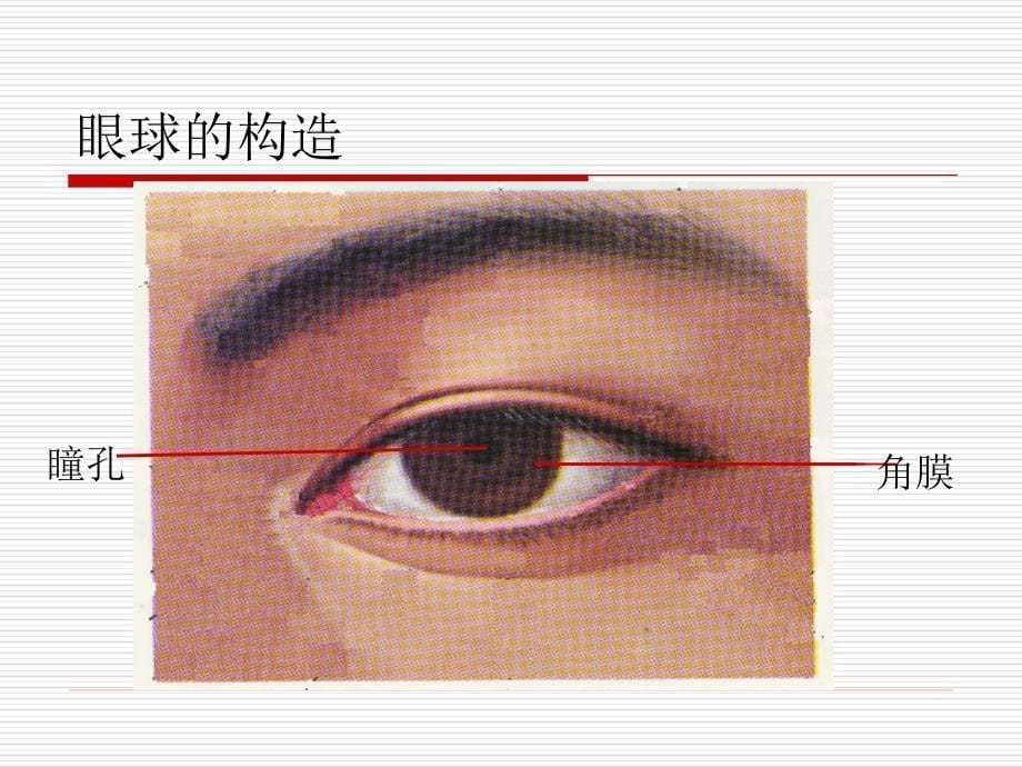 中老年人眼保健知识讲座13_第5页