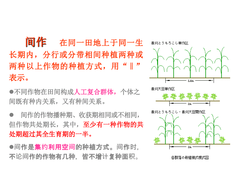 农作物生产第三节-间作与套作_第4页