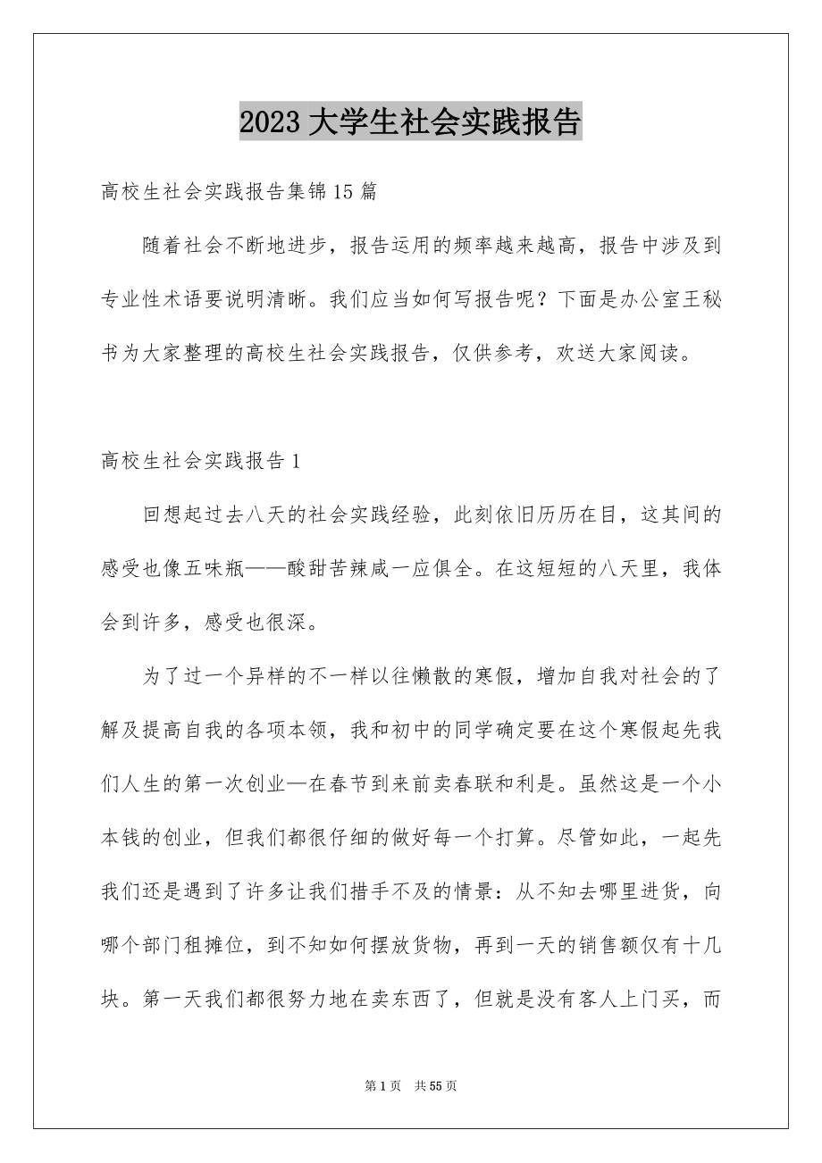 2023年大学生社会实践报告121.docx