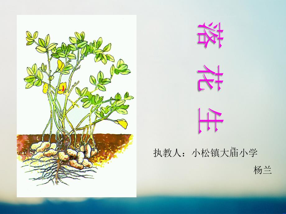 落花生一等奖获奖-完整版教学课件_第4页