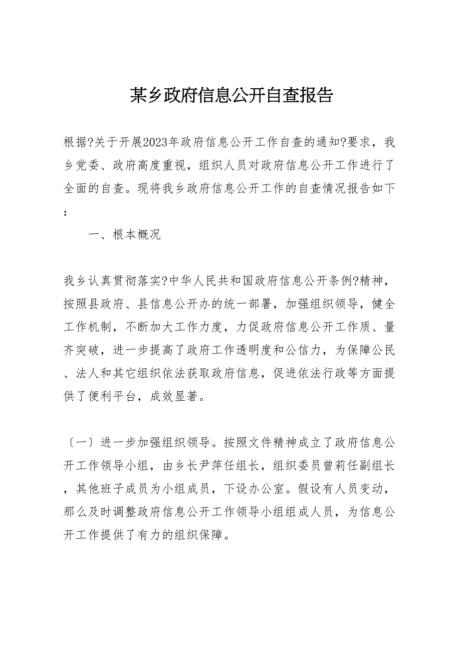 2023年x乡政府信息公开自查报告 .doc_第1页