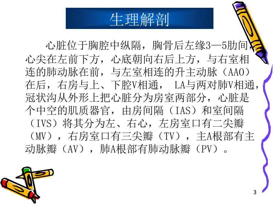 心脏超声诊断PPT优秀课件_第3页