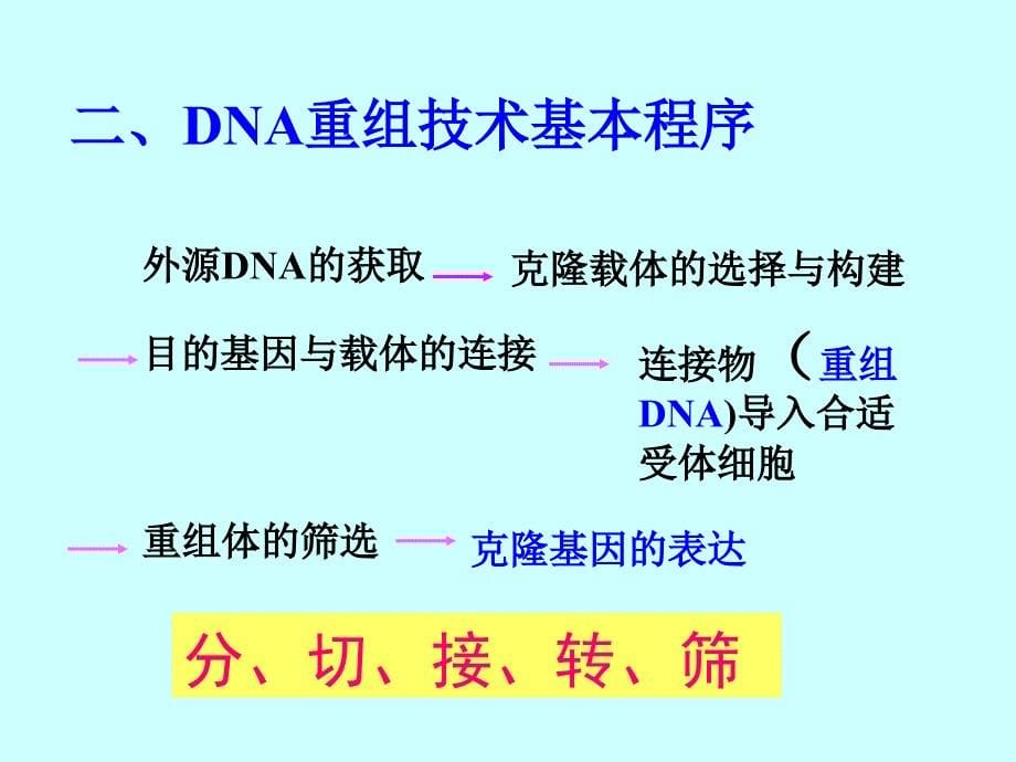 DNA体外重组技术唐旭东级jian_第5页