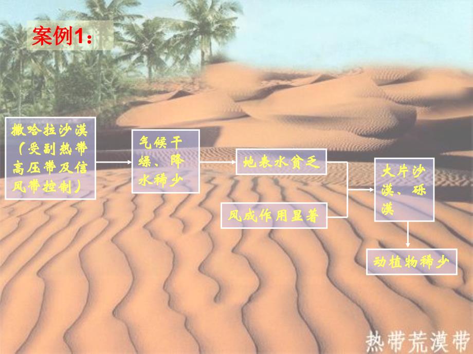 地理环境的整体性和地域分异_第4页