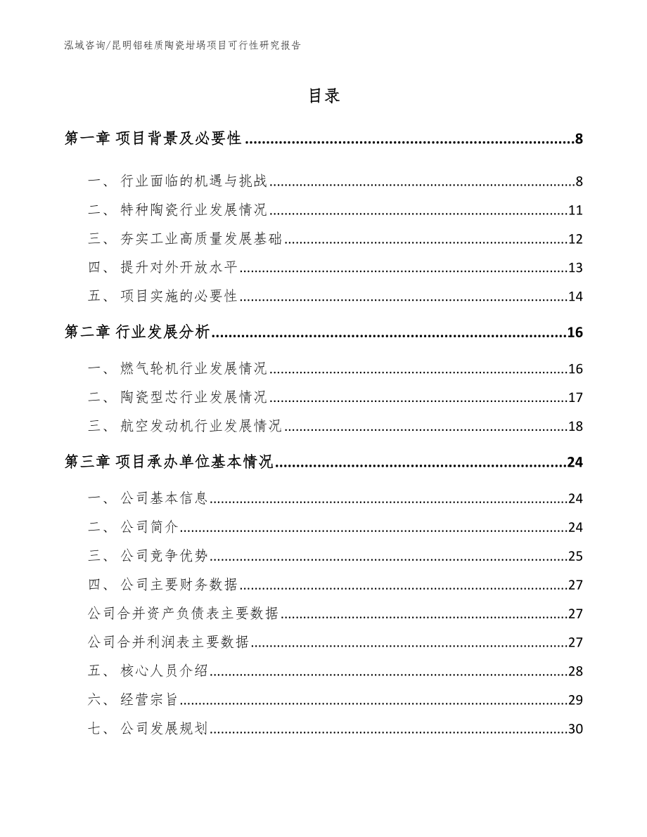 昆明铝硅质陶瓷坩埚项目可行性研究报告【参考模板】_第2页