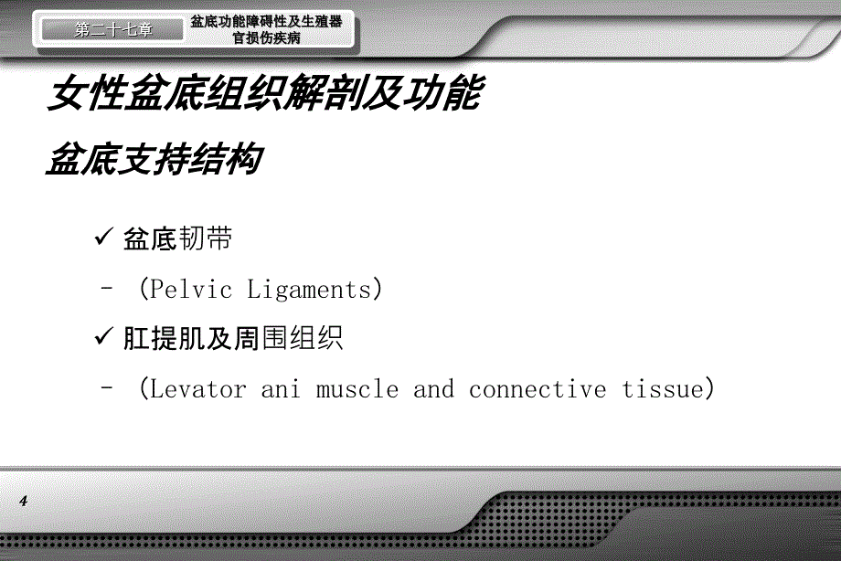 《盆腔脏器脱垂》PPT课件.ppt_第4页