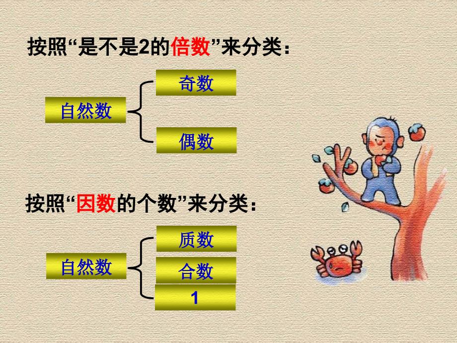 【人教版数学五年级下】质数和合数的练习课_第4页